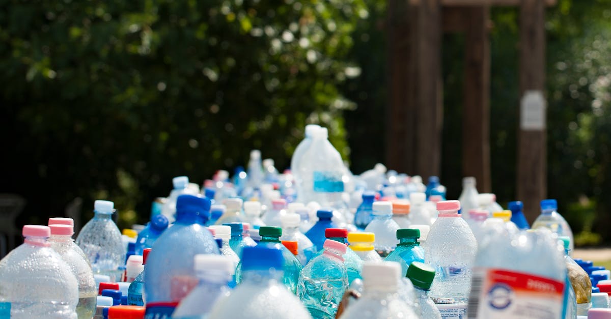découvrez l'importance du recyclage pour préserver notre planète. apprenez comment trier vos déchets efficacement et contribuez à la réduction des déchets tout en soutenant une économie durable.
