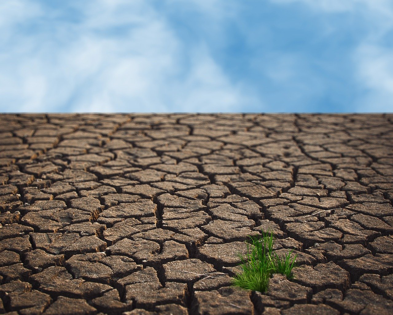 découvrez les enjeux du changement climatique et ses impacts sur notre planète. informez-vous sur les solutions durables et contribuez à protéger l'environnement pour les générations futures.