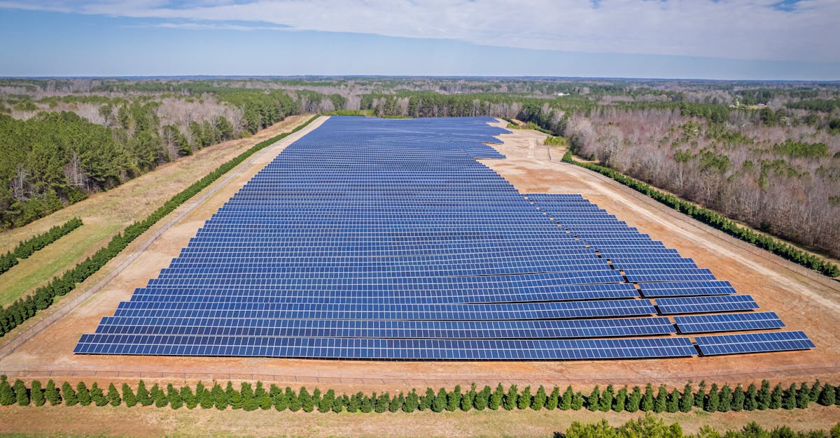 découvrez comment les investissements durables transforment l'économie mondiale tout en préservant l'environnement. explorez des opportunités d'investissement éthiques qui allient rentabilité et responsabilité sociale.