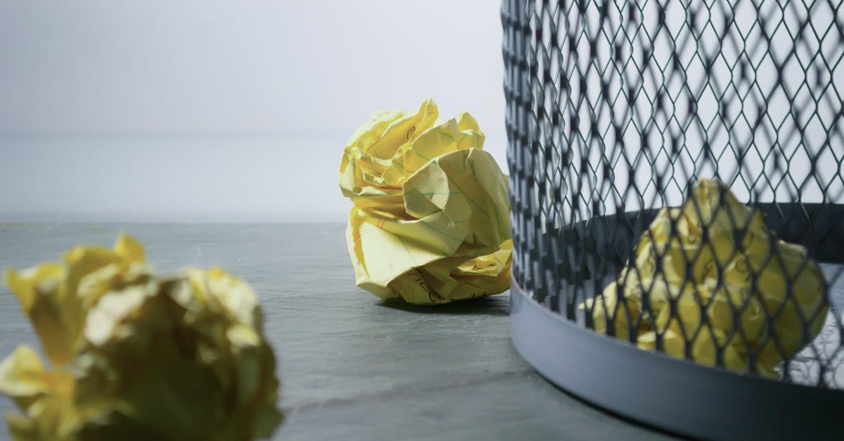 découvrez l'importance du recyclage pour la planète. apprenez comment trier vos déchets efficacement et contribuer à la préservation de l'environnement tout en réduisant votre empreinte écologique.