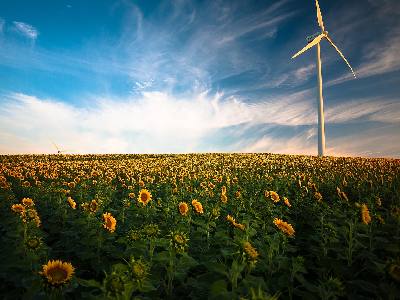 découvrez les dernières tendances et innovations dans le domaine des énergies renouvelables : avantages, types d’énergies vertes, solutions pour un avenir durable et conseils pour adopter une énergie propre.