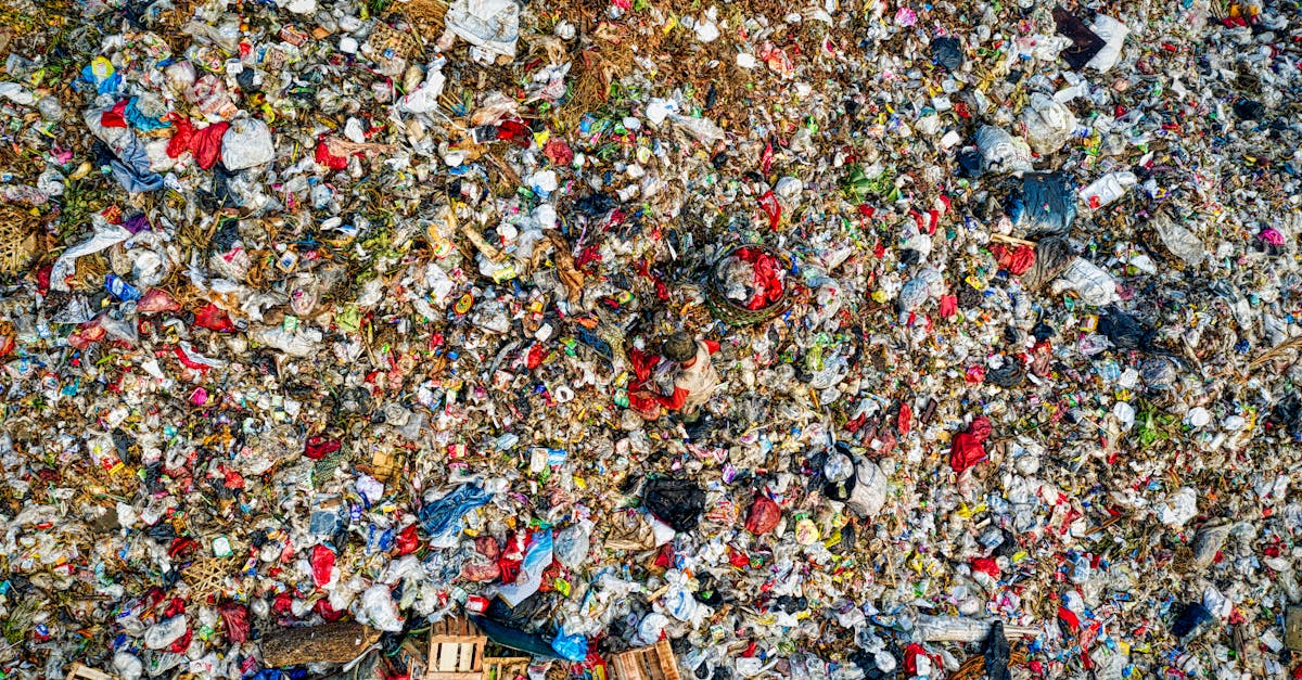 découvrez l'empreinte écologique, un indicateur essentiel qui mesure l'impact de l'activité humaine sur la planète. apprenez comment réduire votre empreinte pour un avenir durable et préserver notre environnement pour les générations futures.