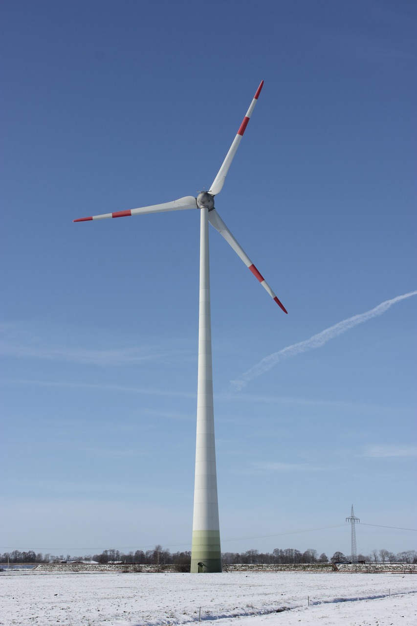 découvrez nos initiatives et conseils pour promouvoir la durabilité et protéger l'environnement pour les générations futures.
