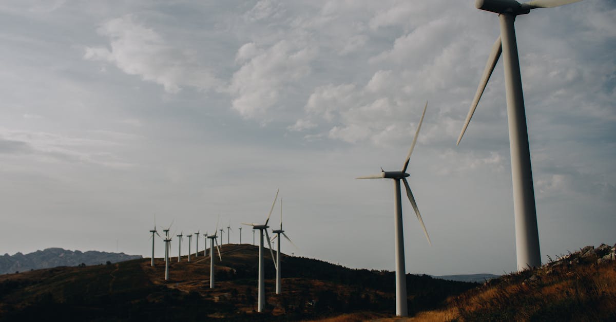 découvrez l'infrastructure verte, une approche innovante pour intégrer la nature dans l'aménagement urbain. explorez ses avantages écologiques, économiques et sociaux pour des villes durables et résilientes.