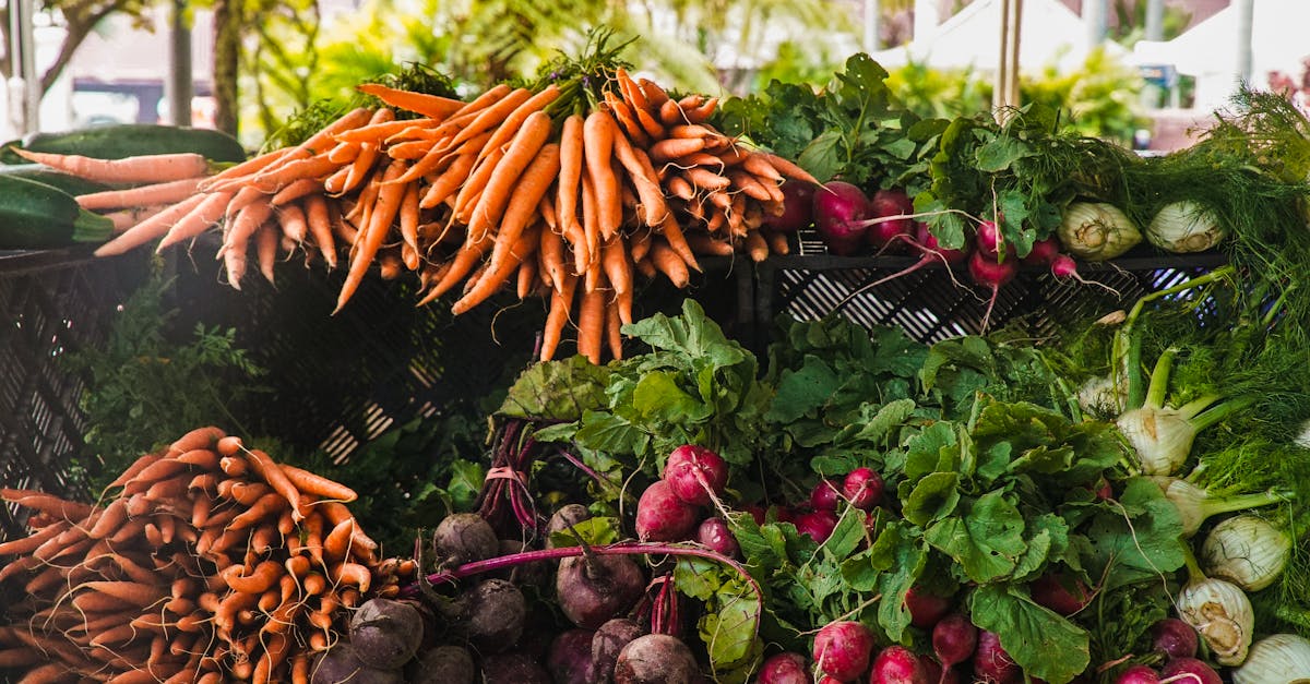 découvrez la richesse des produits saisonniers : fruits et légumes frais qui varient tout au long de l'année, offrant un goût authentique et des bienfaits nutritionnels. adoptez une alimentation responsable et savoureuse en privilégiant les récoltes de saison.