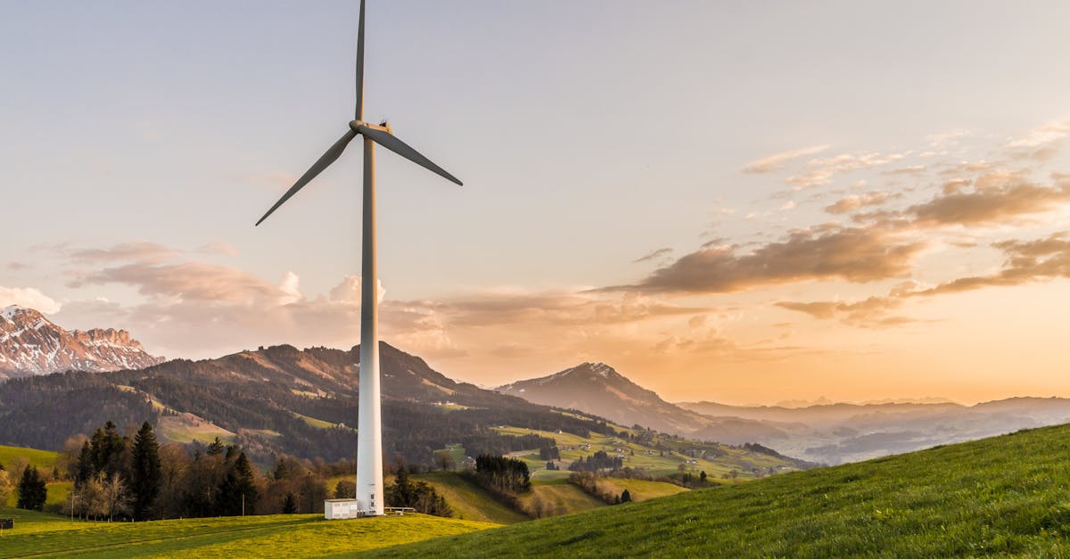 découvrez les enjeux du développement durable, alliant préservation de l'environnement, équité sociale et croissance économique. apprenez comment chaque action compte pour un avenir plus responsable et respectueux des ressources de notre planète.