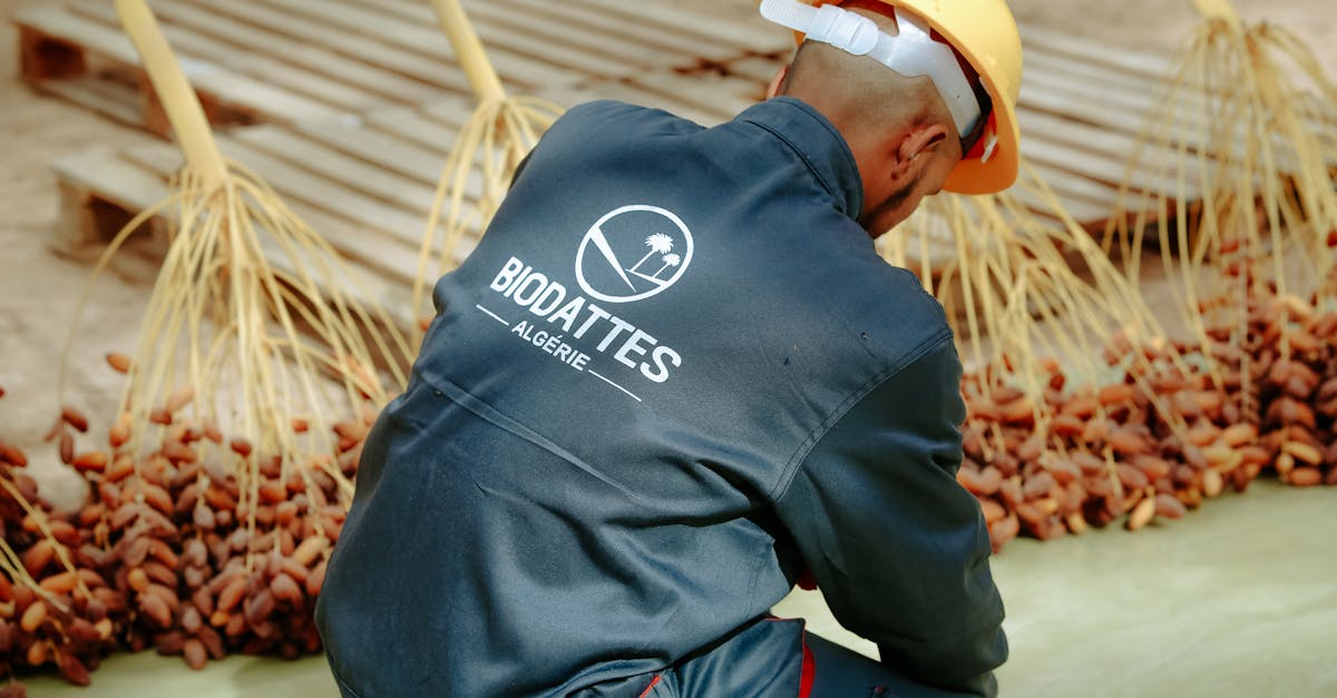 découvrez des stratégies et des solutions pour s'adapter aux changements climatiques. apprenez comment les communautés, les entreprises et les gouvernements peuvent se préparer aux impacts du climat et promouvoir la résilience environnementale.