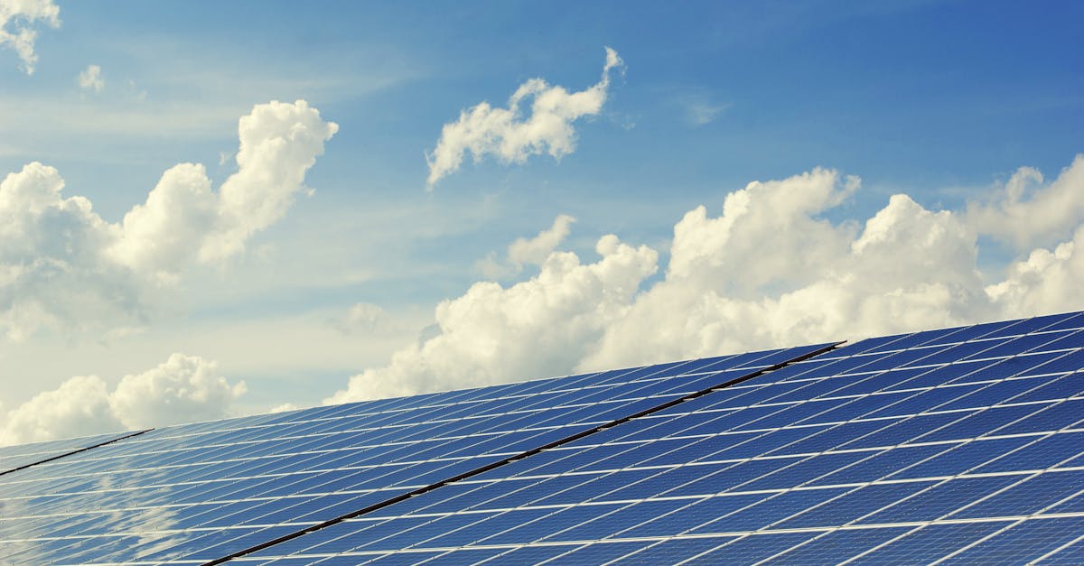découvrez des alternatives durables pour un mode de vie respectueux de l'environnement. explorez des solutions éthiques et écologiques qui préservent notre planète tout en répondant à vos besoins quotidiens.