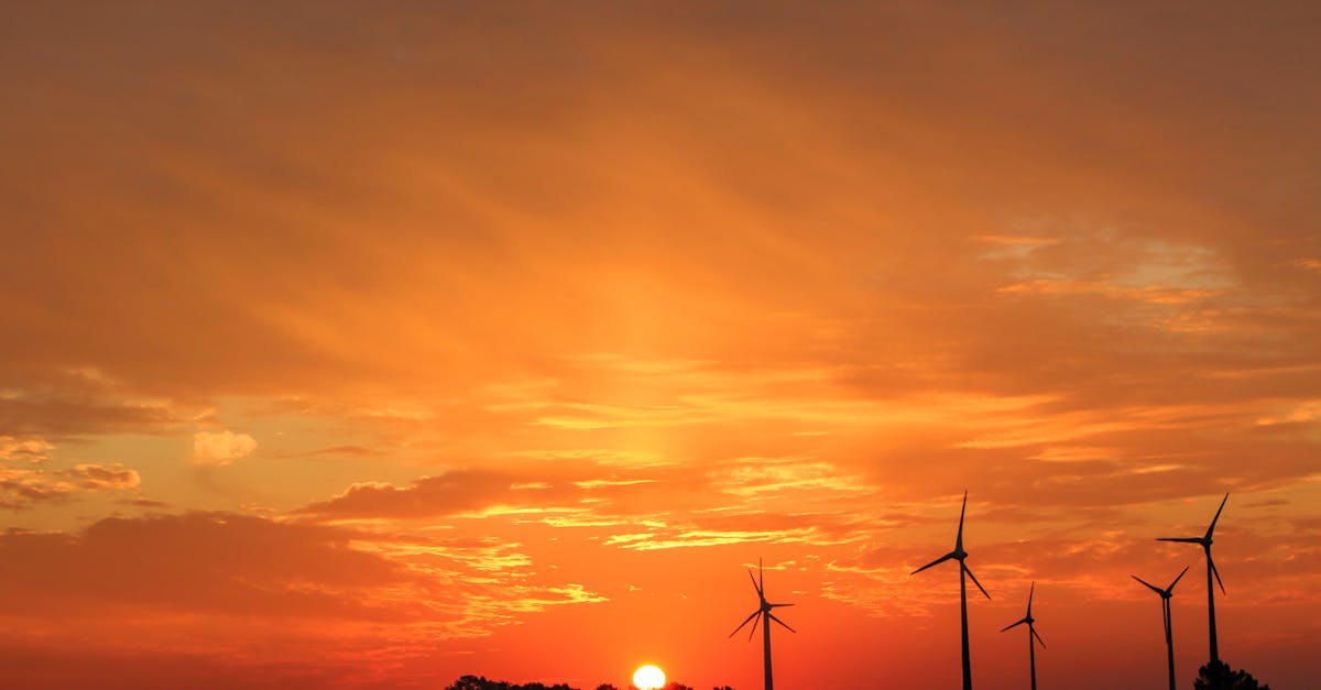 découvrez l'énergie éolienne, une source d'énergie renouvelable abordable et durable qui utilise le vent pour produire de l'électricité. explorez ses avantages, son fonctionnement et son rôle dans la transition énergétique mondiale.