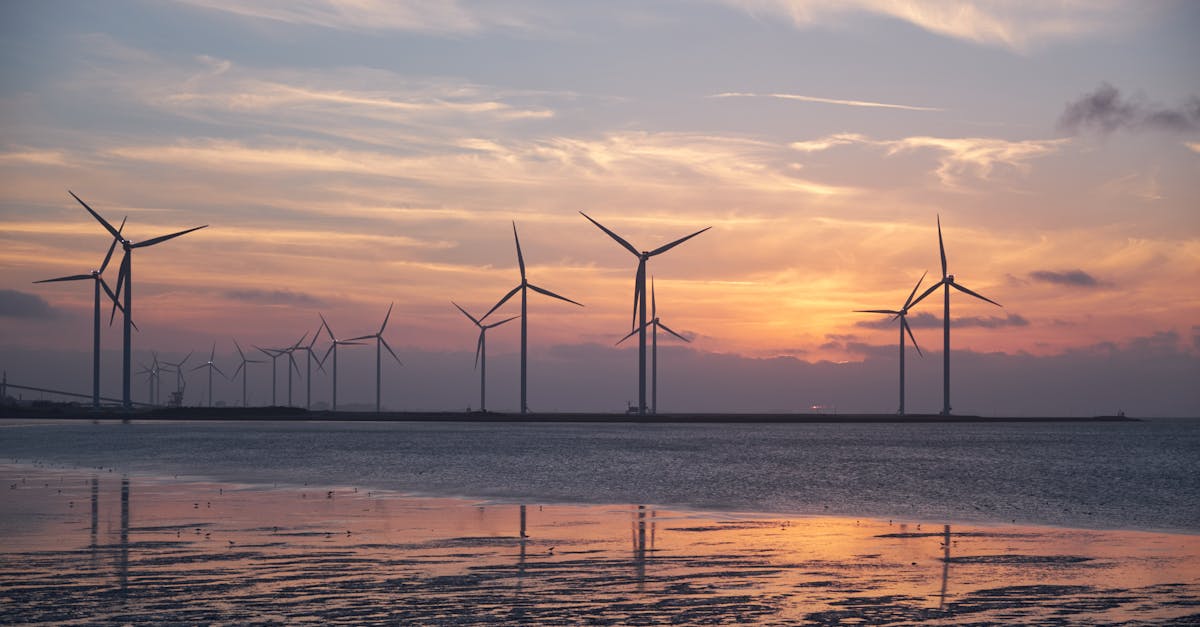 découvrez les enjeux et les stratégies du développement durable, une approche essentielle pour préserver notre planète tout en assurant le bien-être des générations futures. explorez des solutions innovantes pour allier croissance économique, équité sociale et protection de l'environnement.
