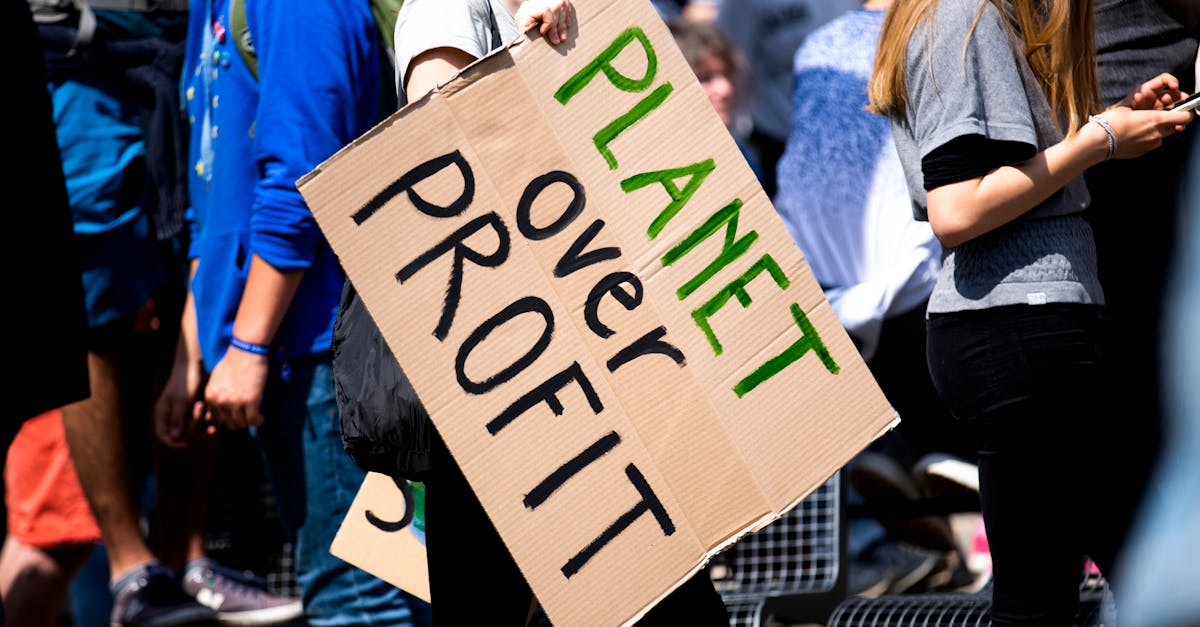 découvrez l'importance de la sensibilisation environnementale et comment elle contribue à la protection de notre planète. apprenez des astuces et des pratiques durables pour réduire votre empreinte écologique et encourager un avenir plus vert.