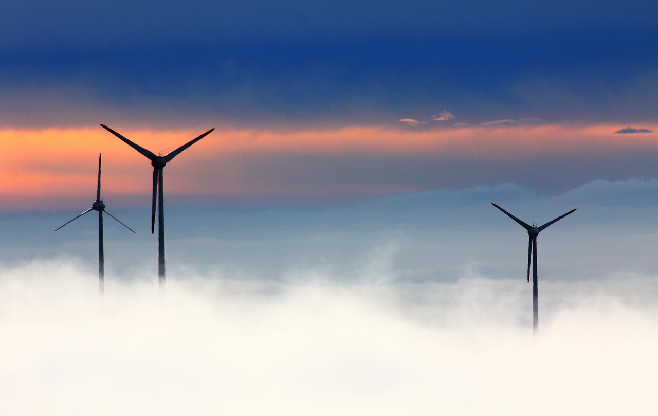 découvrez comment adopter des pratiques durables pour préserver l'environnement, favoriser une économie responsable et améliorer votre qualité de vie grâce à des solutions écologiques et innovantes.