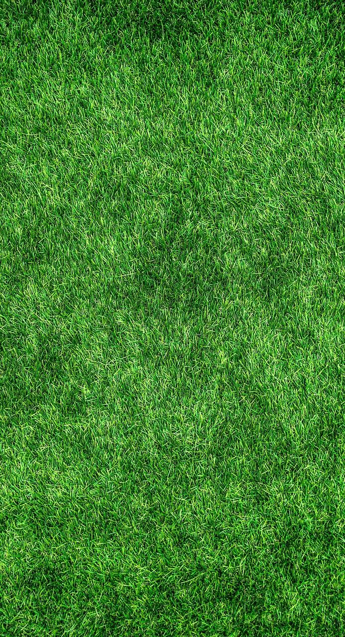 découvrez eco-football, le projet innovant alliant passion du football et engagement écologique pour un sport durable et respectueux de l'environnement.