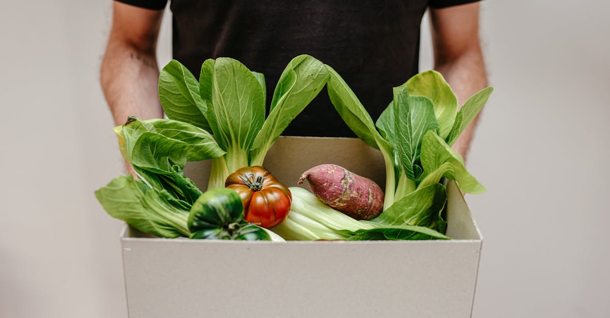 découvrez les pratiques de sourcing durable qui préservent l'environnement tout en garantissant des produits de qualité. explorez les stratégies d'approvisionnement éthique et responsable pour un avenir meilleur.