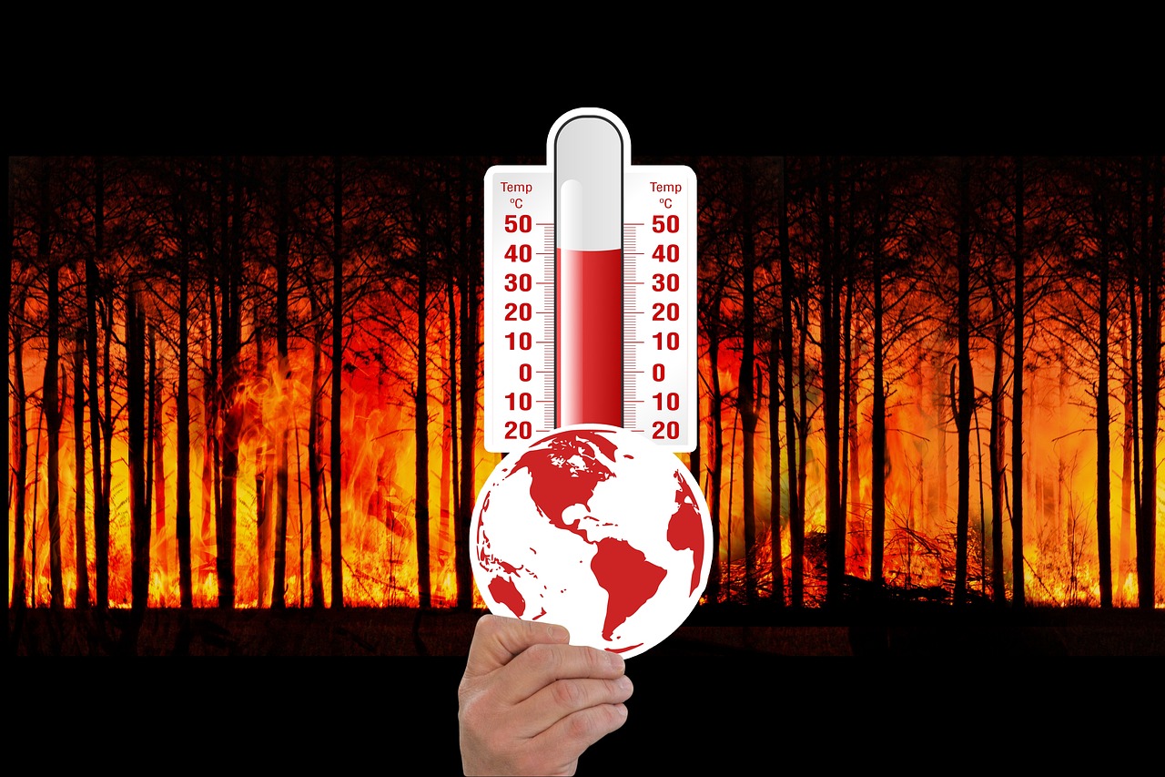 découvrez les stratégies et solutions pour s'adapter aux impacts du changement climatique et protéger notre planète pour les générations futures.