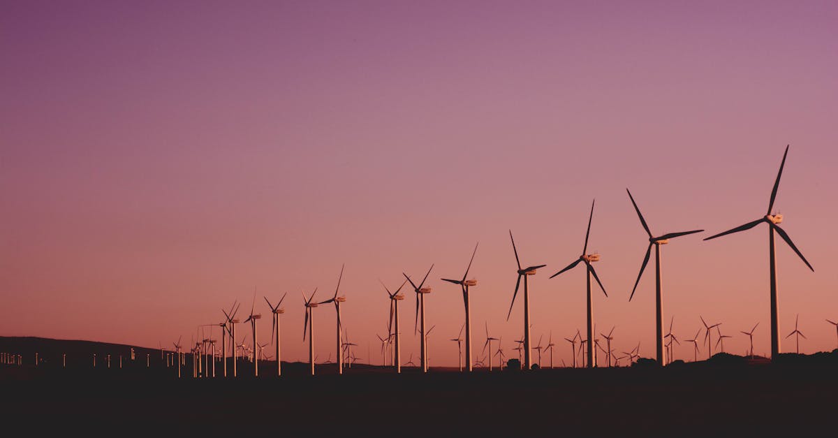 découvrez l'importance de la durabilité et comment elle influence nos choix quotidiens, de l'environnement à l'économie. engagez-vous pour un avenir plus vert et responsable.