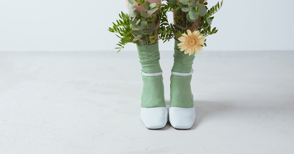 découvrez des alternatives durables et respectueuses de l'environnement pour un mode de vie éco-responsable. explorez des solutions innovantes pour réduire votre empreinte écologique tout en préservant la qualité de vie.