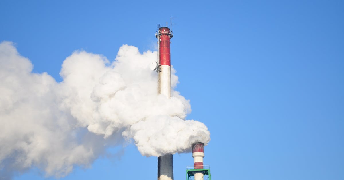 découvrez comment réduire votre empreinte carbone et contribuer à la protection de l'environnement. apprenez les meilleures pratiques et stratégies pour minimiser votre impact sur la planète tout en adoptant un mode de vie durable.