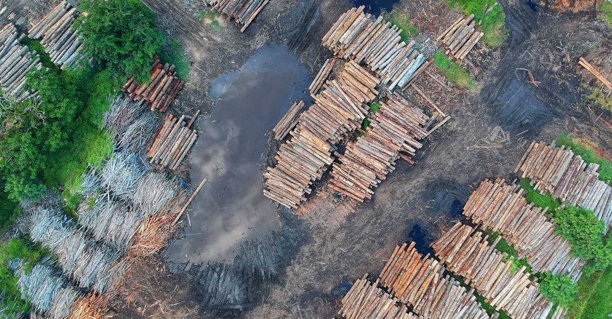 découvrez l'importance des ressources naturelles dans notre environnement. apprenez comment elles soutiennent l'économie mondiale, favorisent la biodiversité et sont essentielles à la durabilité de notre planète.