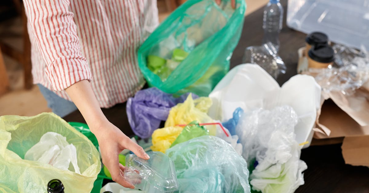 découvrez des stratégies efficaces et innovantes pour la réduction de la pollution. explorez des solutions durables qui contribuent à la préservation de notre environnement et à l'amélioration de la qualité de vie. engagez-vous pour un avenir plus propre et plus sain.
