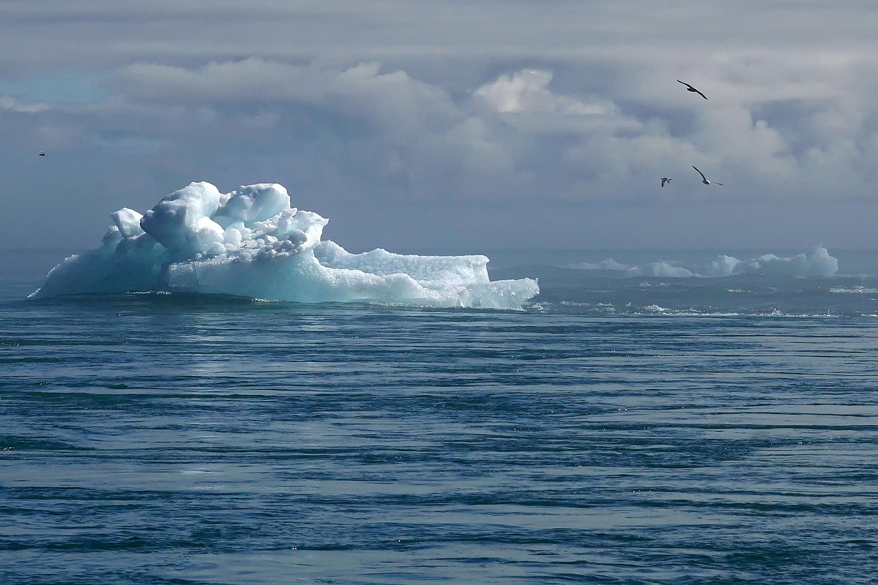 découvrez comment renforcer la résilience climatique grâce à des stratégies innovantes et des solutions durables pour faire face aux défis du changement climatique.