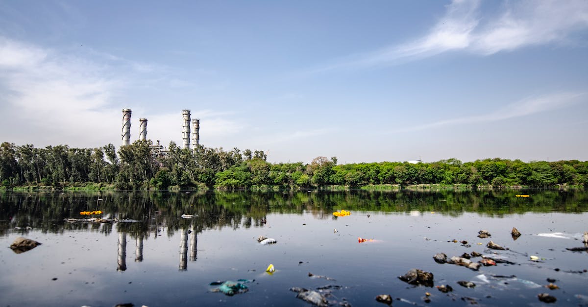 découvrez l'impact environnemental des activités humaines et les solutions durables pour préserver notre planète. analysez les effets sur la biodiversité, le climat et les ressources naturelles, et engagez-vous pour un avenir plus vert.