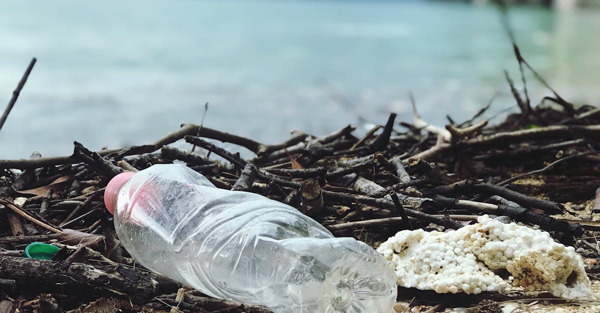 découvrez les causes et les conséquences de la pollution de l'eau, un enjeu environnemental majeur qui affecte la santé humaine et la biodiversité. explorez des solutions pour préserver nos ressources en eau.