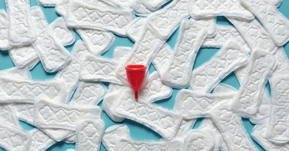 découvrez notre sélection de produits durables qui allient éco-responsabilité et qualité. optez pour un mode de consommation respectueux de l'environnement tout en profitant de produits innovants et tendance.
