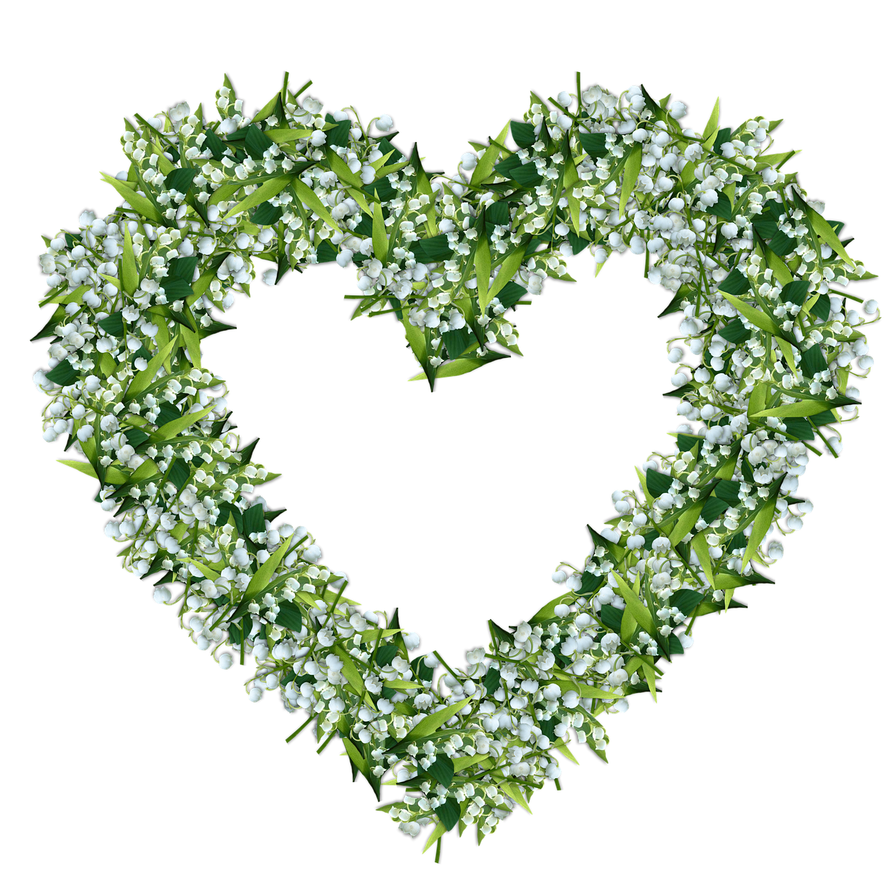 découvrez la délicatesse du muguet, une fleur symbole de bonheur et de renouveau, parfaite pour égayer votre jardin ou offrir en cadeau.
