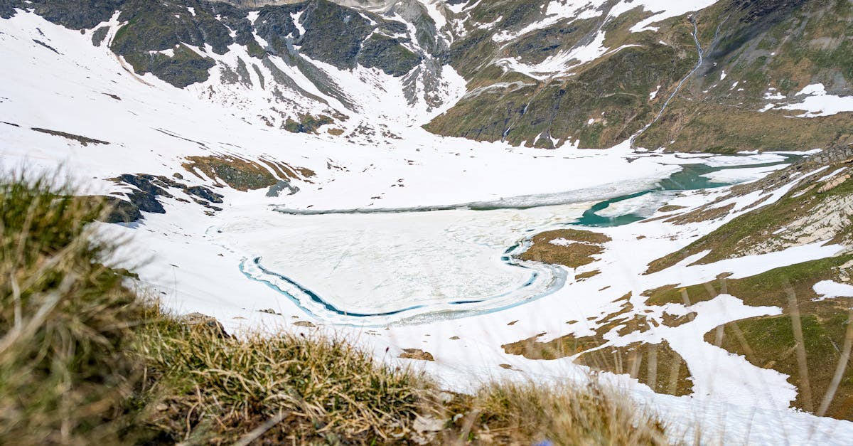 découvrez le 'climate dialogue', un espace de discussion essentiel pour comprendre les enjeux climatiques mondiaux. participez aux échanges sur les solutions durables, l'innovation et la coopération internationale pour lutter efficacement contre le changement climatique.