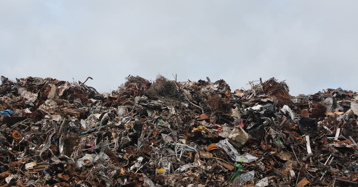 découvrez comment réduire, recycler et réutiliser vos déchets pour un mode de vie plus durable. apprenez des astuces pratiques et des solutions innovantes pour minimiser votre empreinte écologique tout en préservant notre planète.