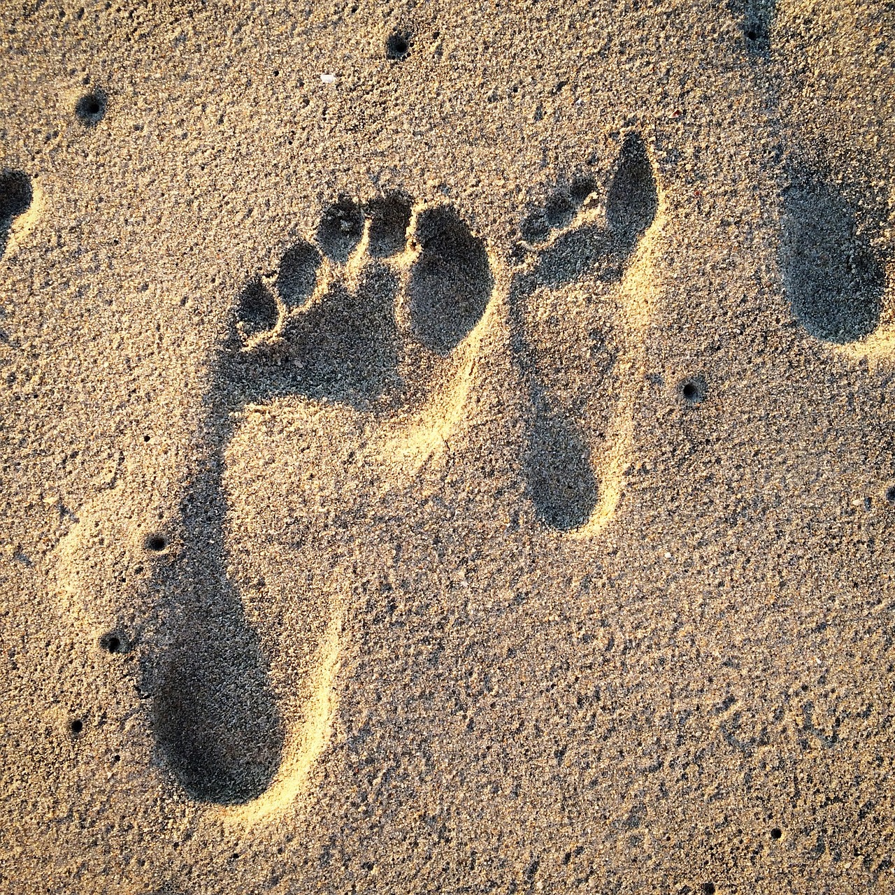 découvrez ce qu'est l'empreinte carbone et son impact sur l'environnement. apprenez comment mesurer votre propre empreinte et découvrir des stratégies pour la réduire, contribuant ainsi à un avenir plus durable.