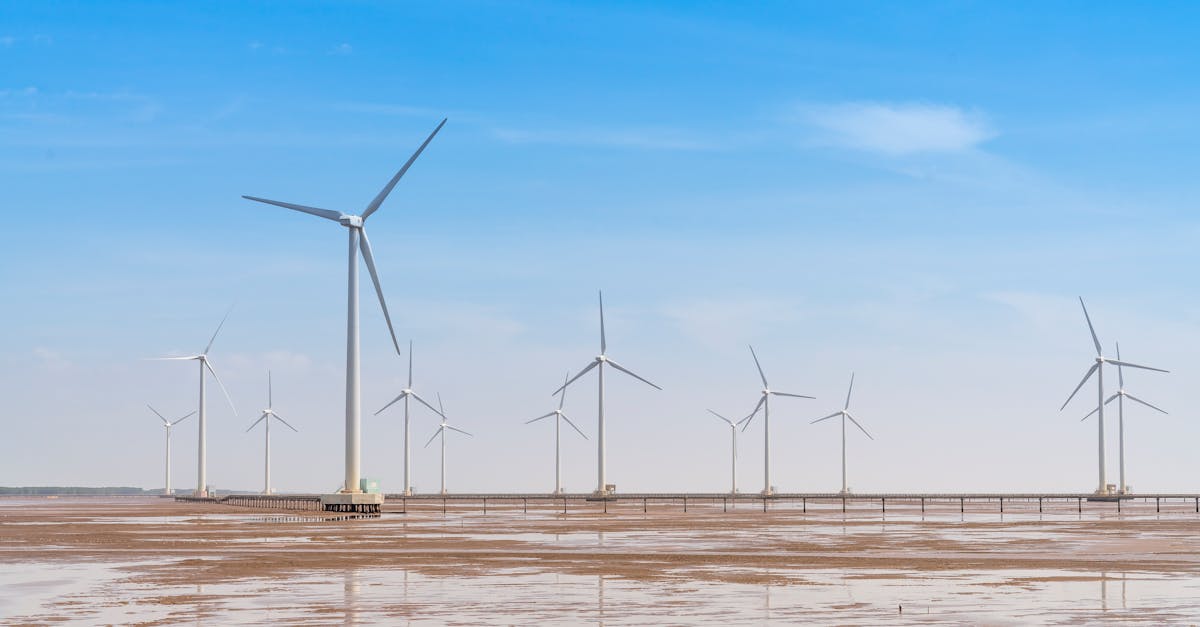 découvrez les avantages de l'énergie éolienne, une source d'énergie renouvelable essentielle pour un avenir durable. apprenez comment elle contribue à la réduction des émissions de carbone et à la protection de l'environnement tout en répondant à la demande croissante en électricité.