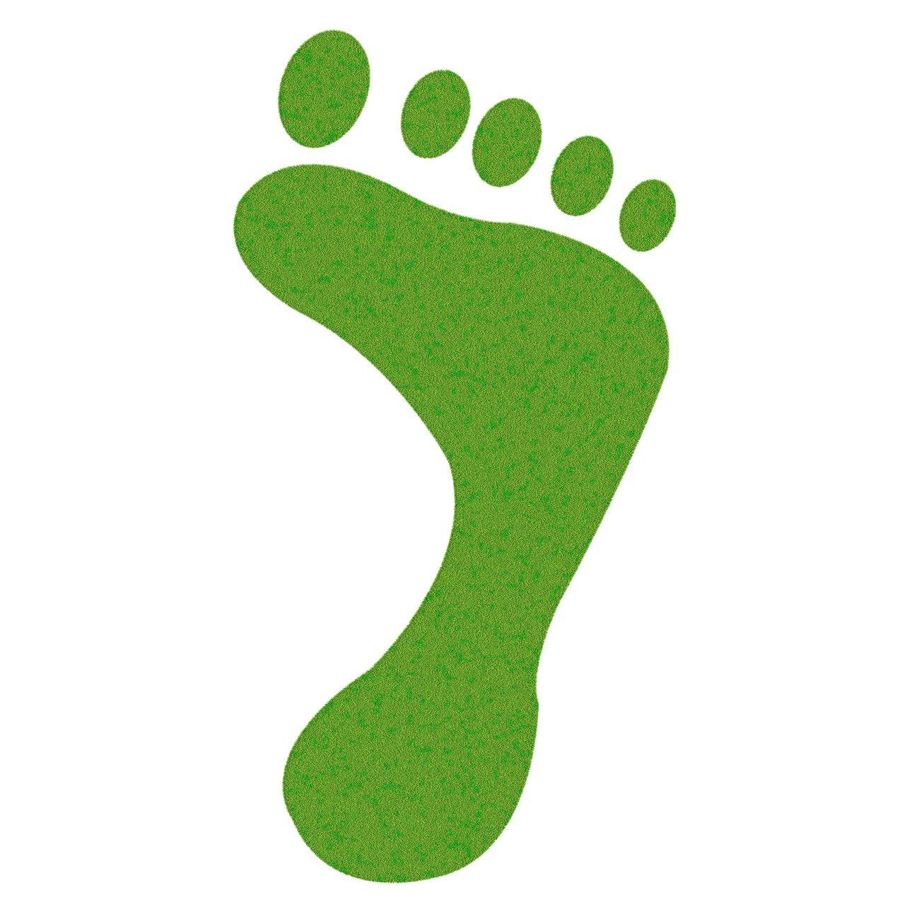 découvrez tout ce qu'il faut savoir sur l'empreinte carbone : définition, impact environnemental, moyens de la réduire et outils pour un mode de vie plus durable. adoptez des gestes écoresponsables pour contribuer à la protection de notre planète.