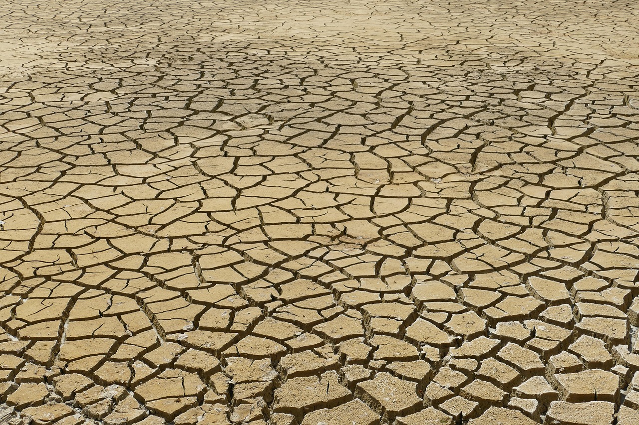 découvrez les enjeux du changement climatique, ses impacts sur notre planète et les actions à entreprendre pour y faire face. informez-vous sur les conséquences environnementales et sociales, et engagez-vous pour un avenir durable.