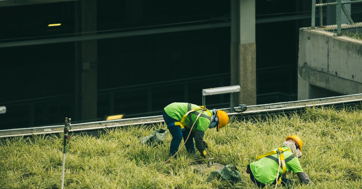 découvrez l'infrastructure verte, une approche innovante pour intégrer la nature dans les environnements urbains. apprenez comment elle contribue à la durabilité, améliore la qualité de vie et favorise la biodiversité tout en offrant des solutions efficaces pour la gestion des eaux pluviales et la lutte contre le changement climatique.