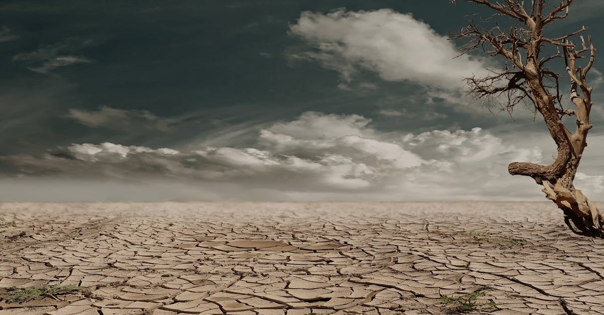 découvrez l'impact environnemental des activités humaines et apprenez comment réduire notre empreinte écologique. explorez des solutions durables pour protéger notre planète et préserver les ressources naturelles pour les générations futures.