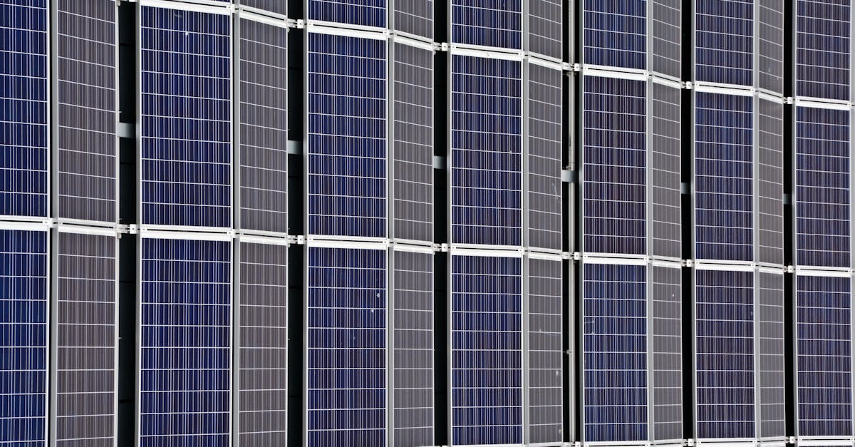 découvrez l'importance de la durabilité dans notre monde moderne. explorez des solutions innovantes et des pratiques responsables pour préserver notre planète et assurer un avenir durable pour les générations futures.