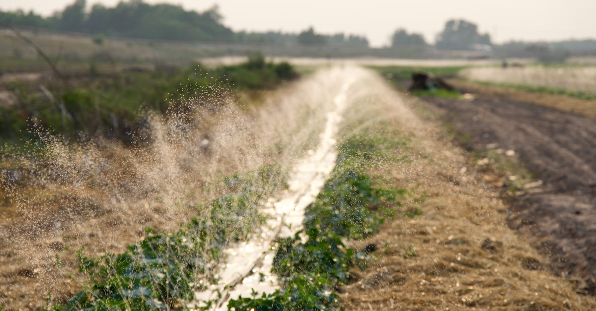 découvrez comment des politiques durables peuvent transformer les sociétés, promouvoir la justice sociale et protéger notre planète. explorez des stratégies innovantes et des exemples concrets pour un avenir responsable.