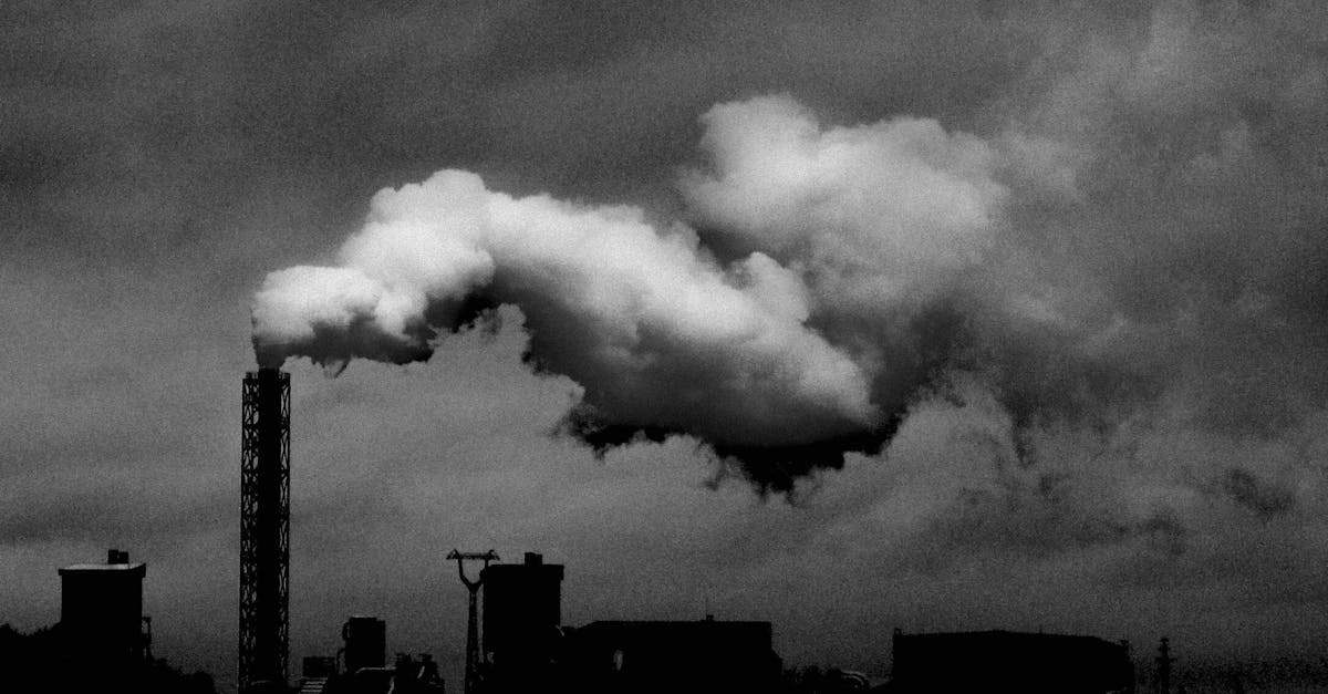 découvrez tout ce qu'il faut savoir sur l'empreinte carbone : ses causes, son impact sur l'environnement et les actions à entreprendre pour la réduire. informez-vous pour contribuer à un avenir plus durable.