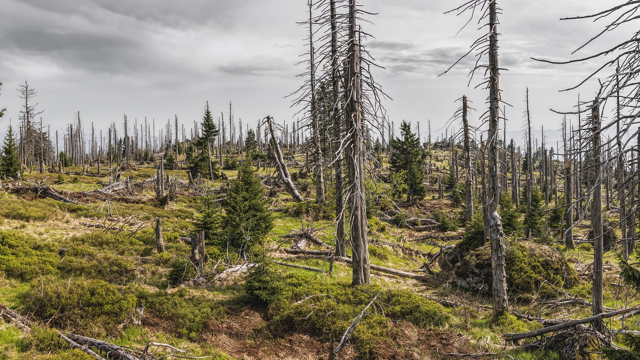découvrez des données environnementales précises et à jour pour mieux comprendre et protéger notre planète.