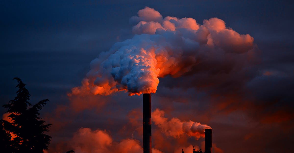 découvrez l'empreinte carbone et son impact sur l'environnement. apprenez à mesurer et réduire votre empreinte pour contribuer à un avenir plus durable.