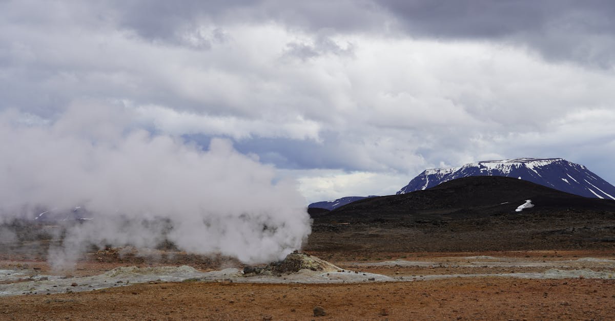 découvrez comment les alliances climatiques transforment nos efforts pour lutter contre le changement climatique. explorez les initiatives collaboratives et les stratégies innovantes qui unissent gouvernements, entreprises et citoyens pour un avenir durable.