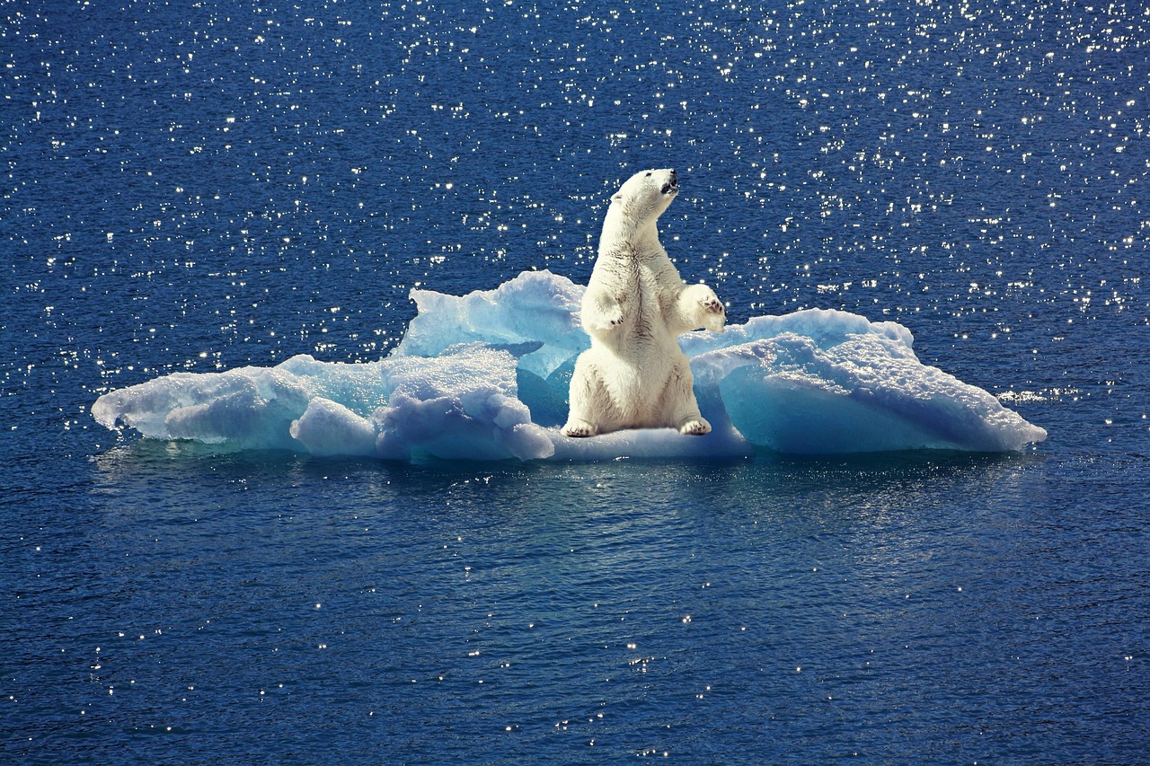 découvrez tout sur le climat : ses changements, ses impacts et les solutions pour un avenir durable.