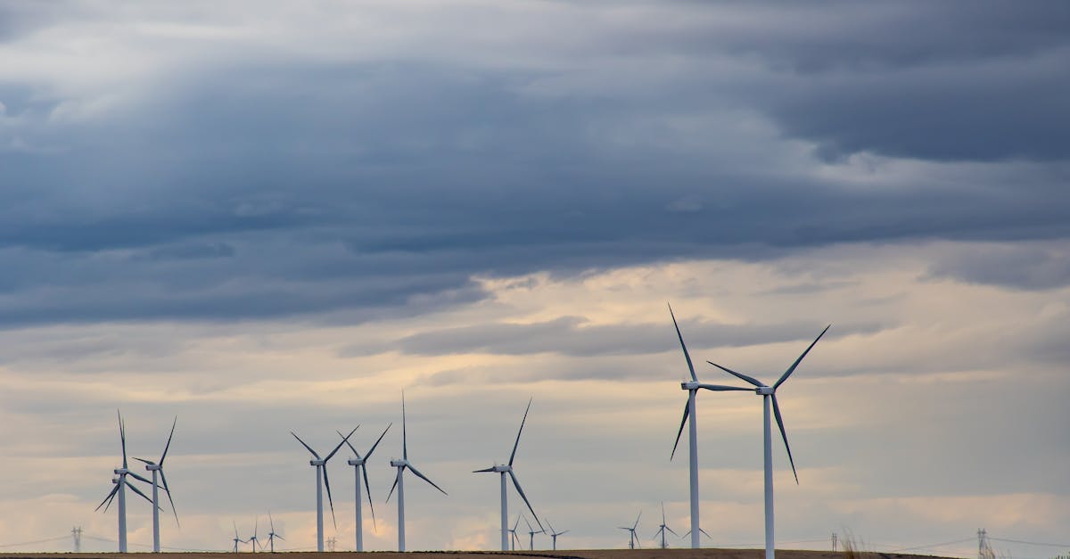 découvrez les avantages et les innovations de l'énergie éolienne. explorez comment cette source d'énergie renouvelable contribue à la protection de l'environnement, à la réduction des émissions de co2 et à la transition énergétique. informez-vous sur les technologies modernes et les projets éoliens à travers le monde.