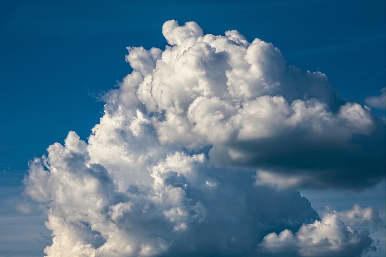 découvrez des initiatives inspirantes et des solutions concrètes pour agir efficacement contre le changement climatique et protéger notre planète.