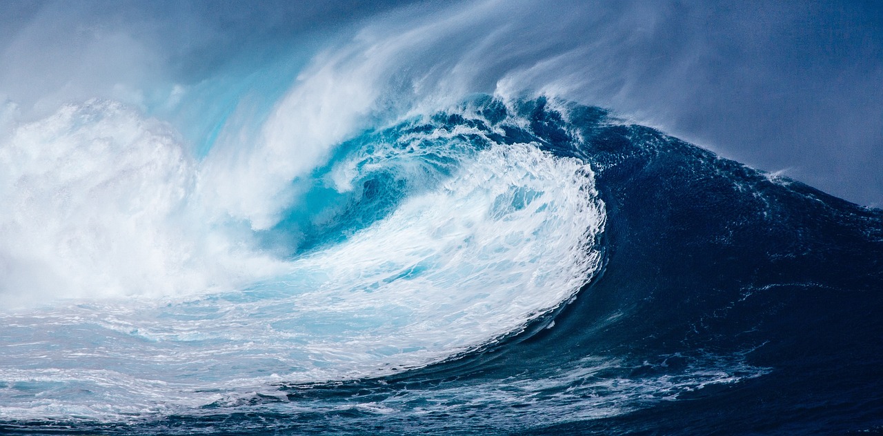 découvrez la croissance dynamique des chouettes chevêches, leur évolution rapide et leur adaptation dans divers environnements.