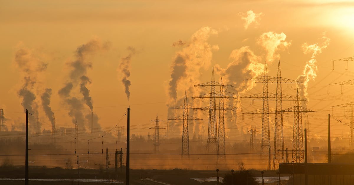 découvrez les impacts du changement climatique sur notre planète, les causes sous-jacentes et les solutions durables pour un avenir meilleur. engagez-vous avec nous dans la lutte contre le réchauffement climatique.