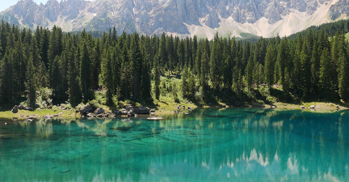 découvrez les différents scénarios climatiques qui modélisent l'avenir de notre planète. analysez les impacts potentiels du changement climatique sur l'environnement, l'économie et la société. informez-vous sur les solutions et les adaptations possibles pour faire face à ces défis environnementaux.