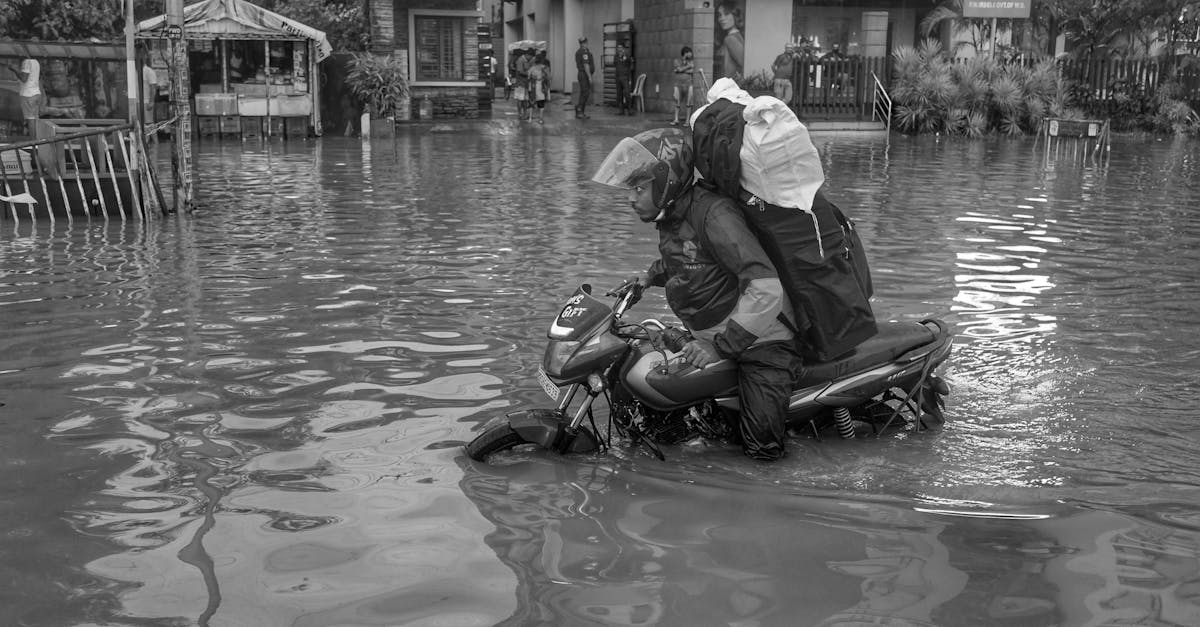 découvrez les enjeux et les solutions face au défi climatique. rejoignez la conversation sur le changement climatique et engagez-vous pour un avenir durable.